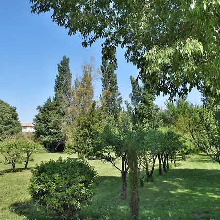 Bed & Breakfast Mas Chateau Blanc Avignon